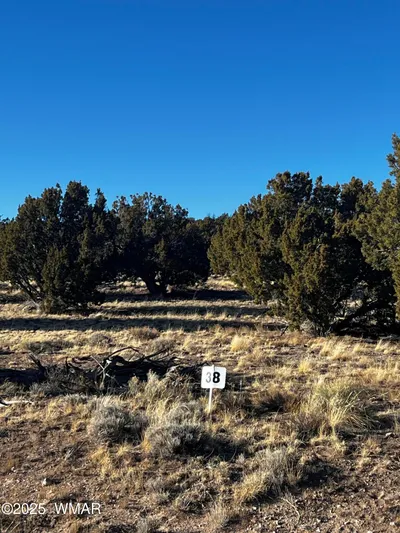 38 8626, Concho, AZ 85924