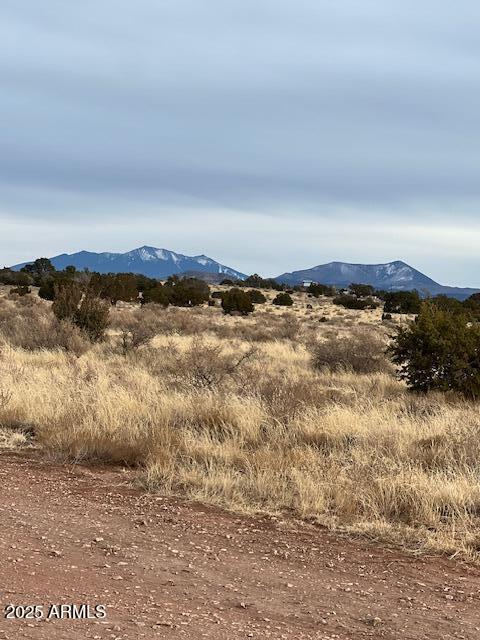 4182 E PALOMAR Drive 12, Williams, AZ 86046 — Photo 1 of 10
