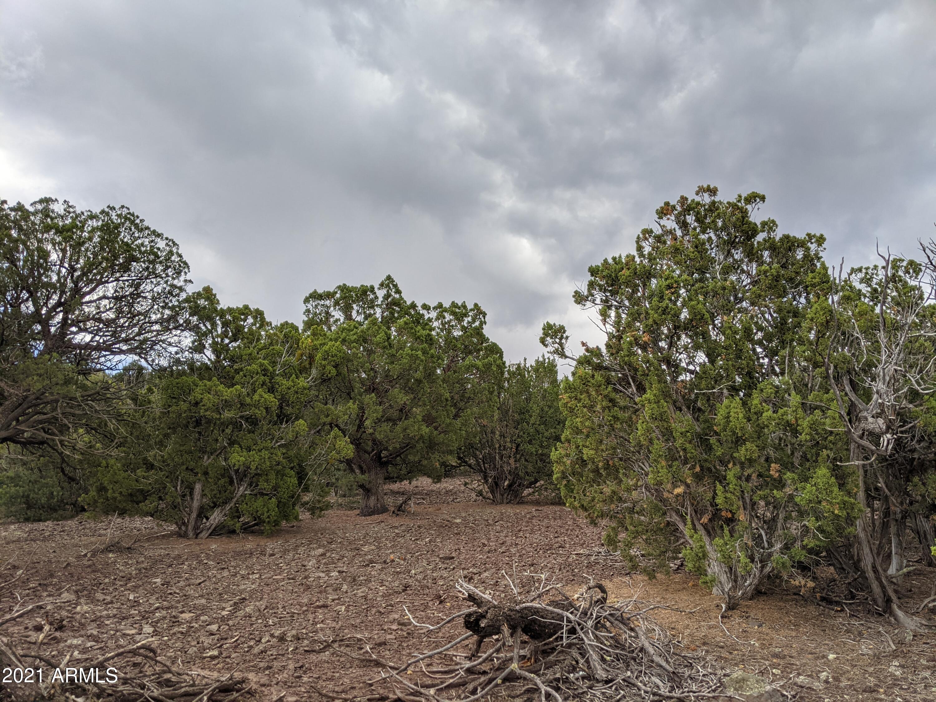 lot 79 Ranch Road, Vernon, AZ 85940 — Photo 1 of 25