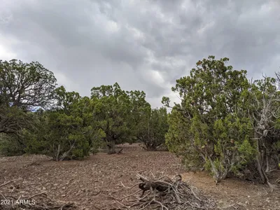 lot 79 Ranch Road, Vernon, AZ 85940
