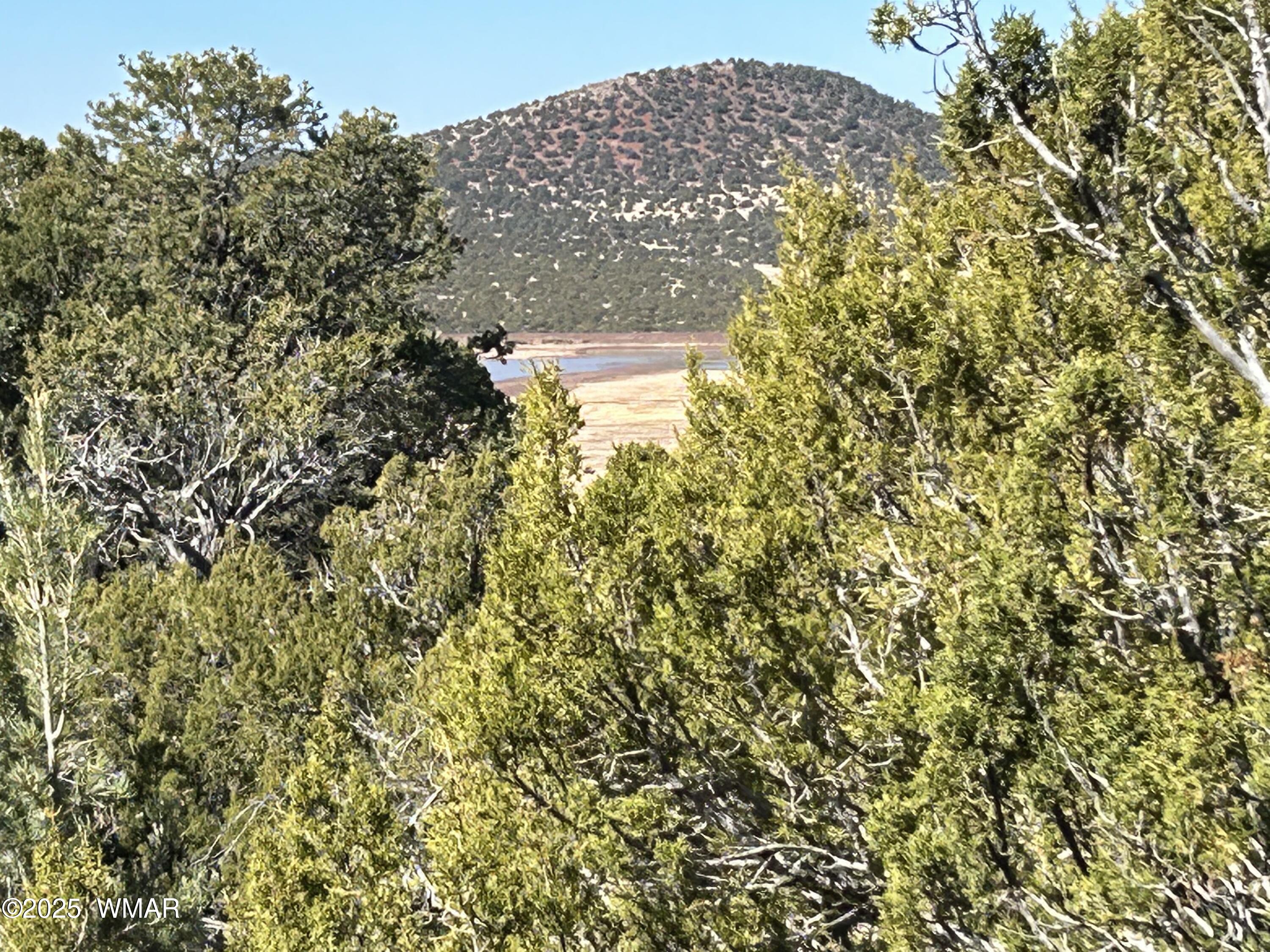 lot 79 Ranch Road, Vernon, AZ 85940 — Photo 1 of 16