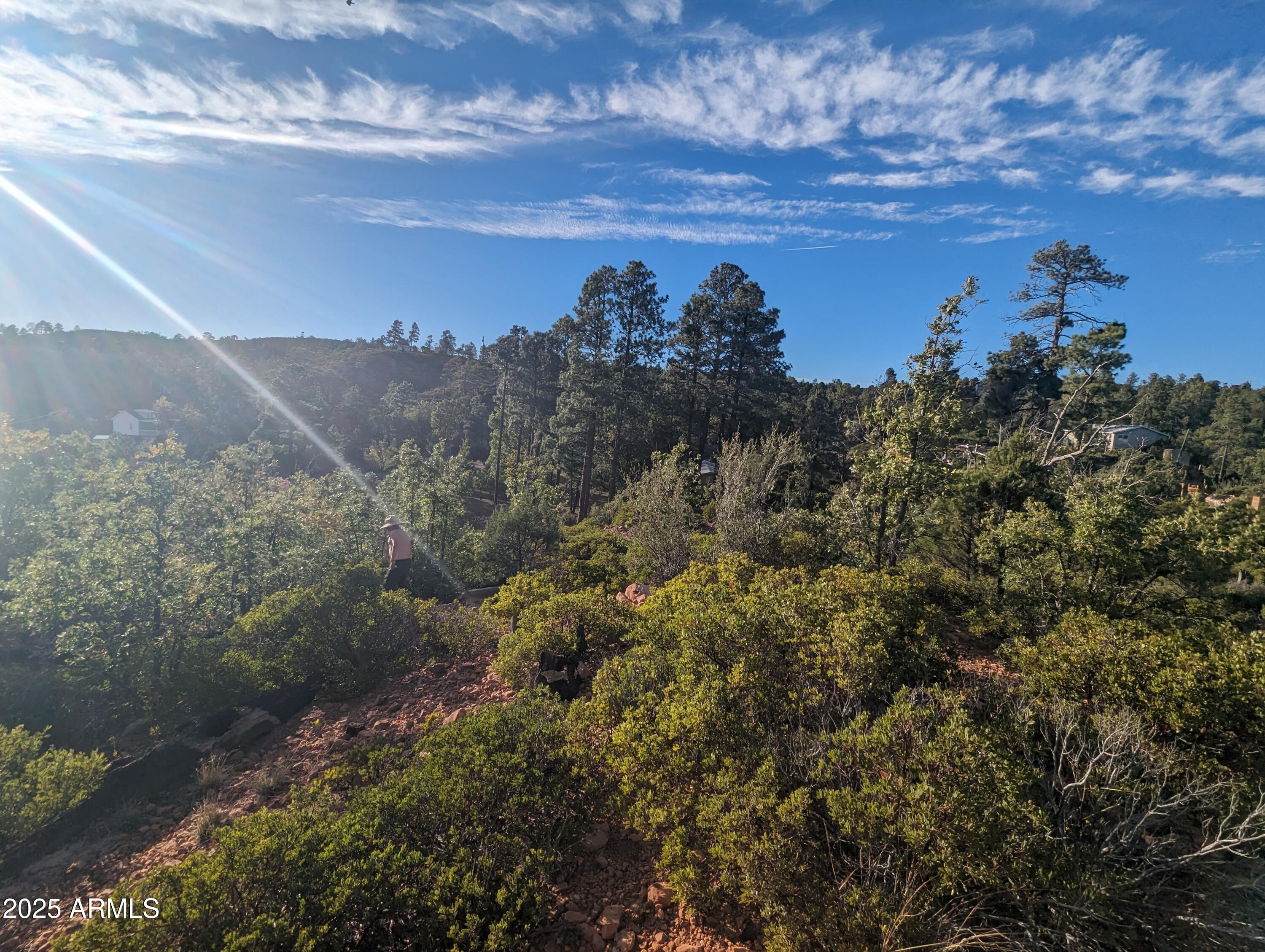 922 OLD SETTLER Trail 390, Show Low, AZ 85901 — Photo 1 of 26