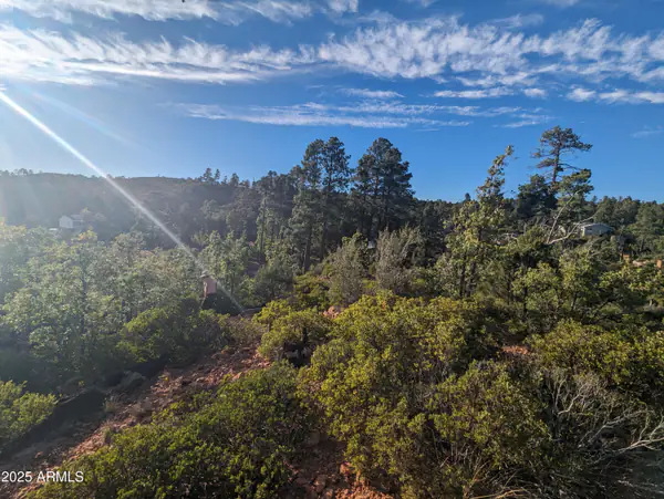 922 OLD SETTLER Trail 390, Show Low, AZ 85901