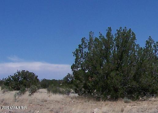 Sec 13 T14N, R16E:E2 Nw4 Se4 '-', Heber, AZ 85928 — Photo 1 of 3