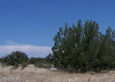 Sec 13 T14N, R16E:E2 Nw4 Se4 '-', Heber, AZ 85928