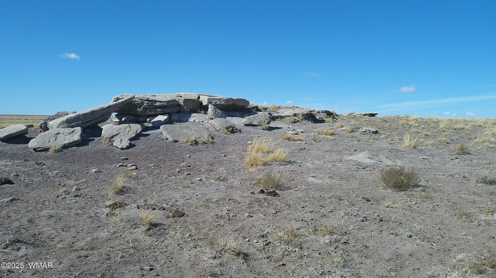 TBD River Meadows Ranch, Concho, AZ 85924 — Photo 1 of 6