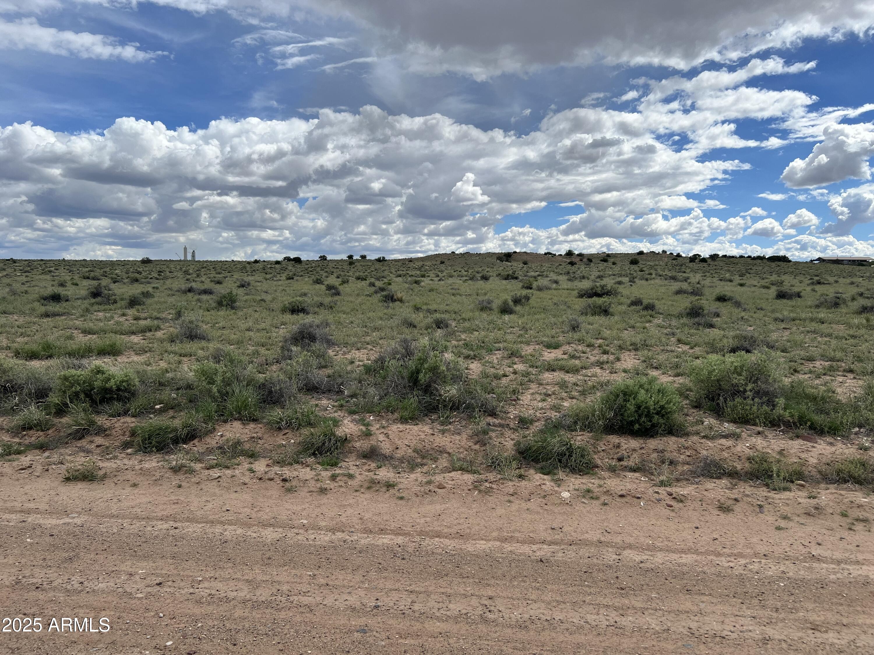 TBD 40 Acres Carrizo Ranch 249, St Johns, AZ 85936 — Photo 1 of 6