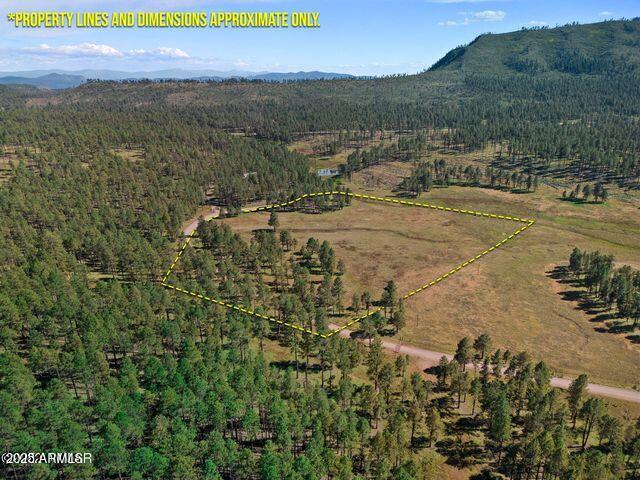 1A Forest Road 26 -, Alpine, AZ 85920 — Photo 1 of 29