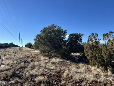 2036 Sitgreaves Ranch Road, Show Low, AZ 85901