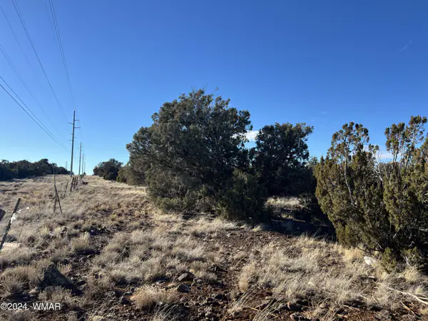 2036 Sitgreaves Ranch Road, Show Low, AZ 85901