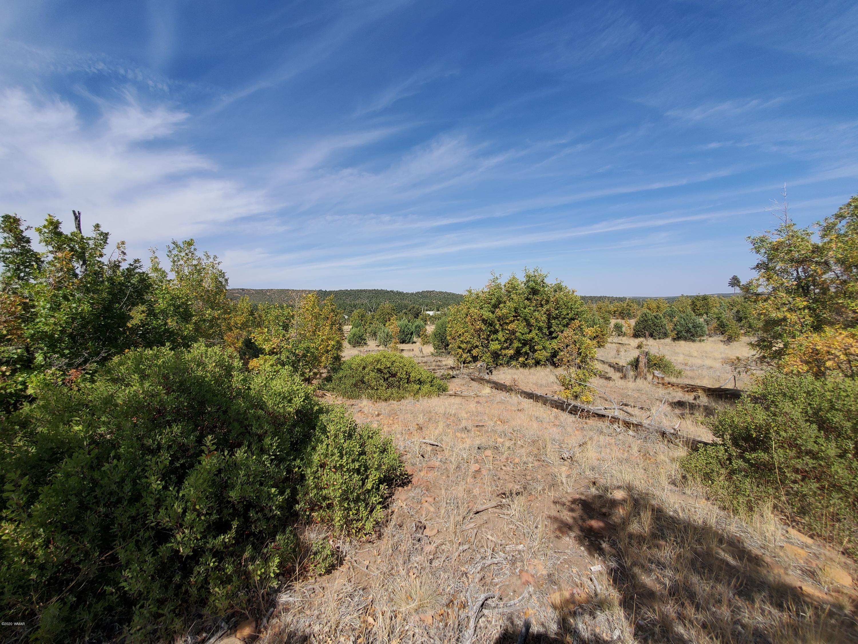 TBD White Cloud Lane, Pinedale, AZ 85934
