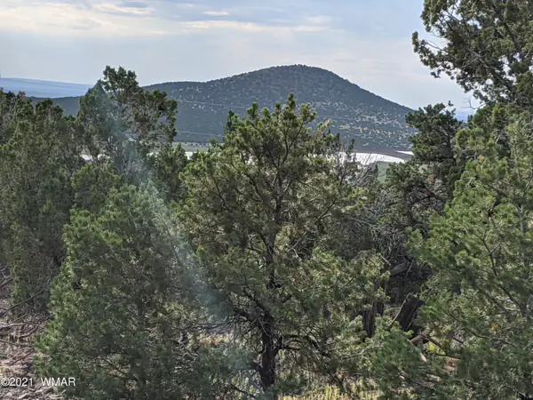 lot 76 Dolly Drive, Vernon, AZ 85940