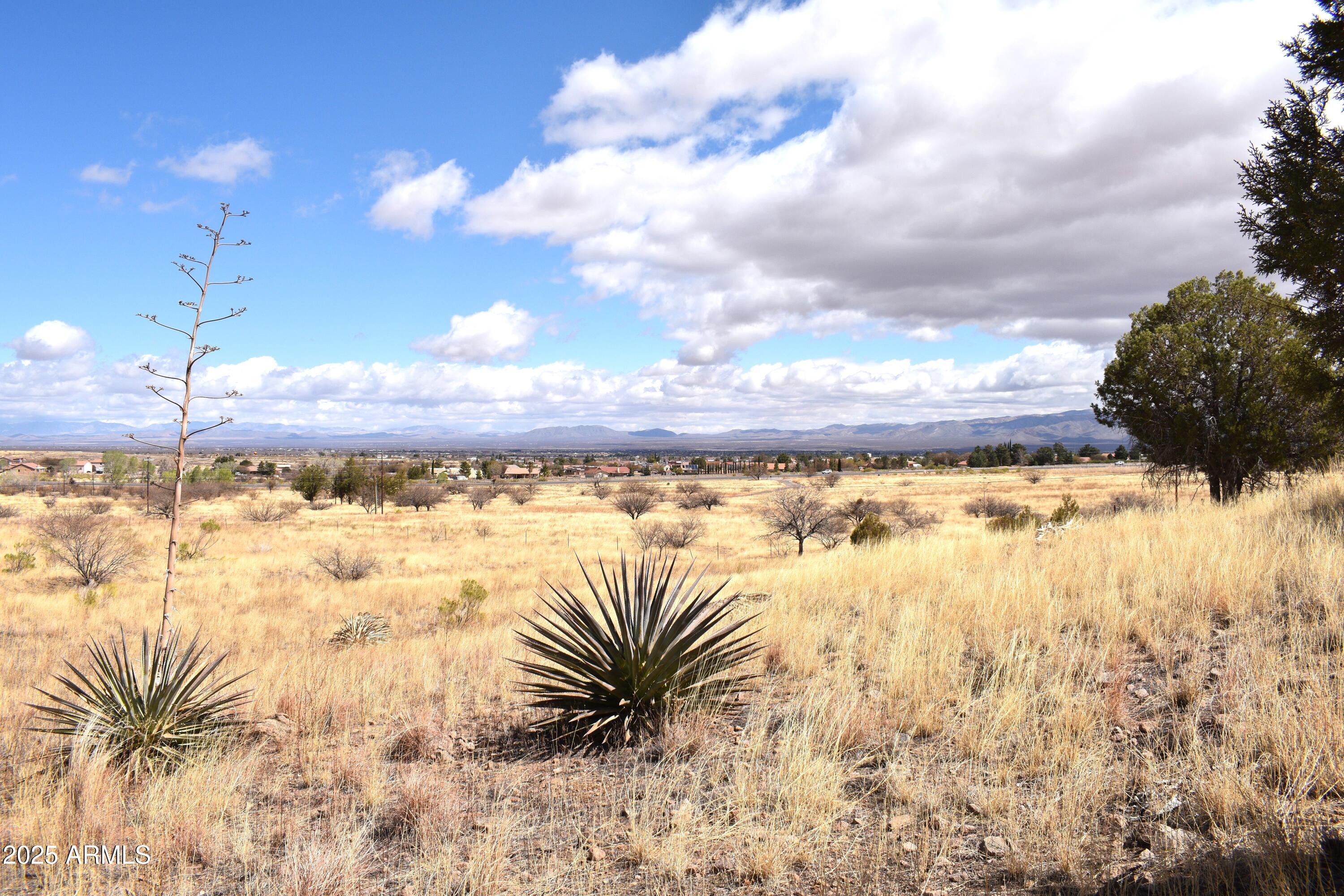 Lot 009P S One More Road -, Hereford, AZ 85615 — Photo 1 of 12