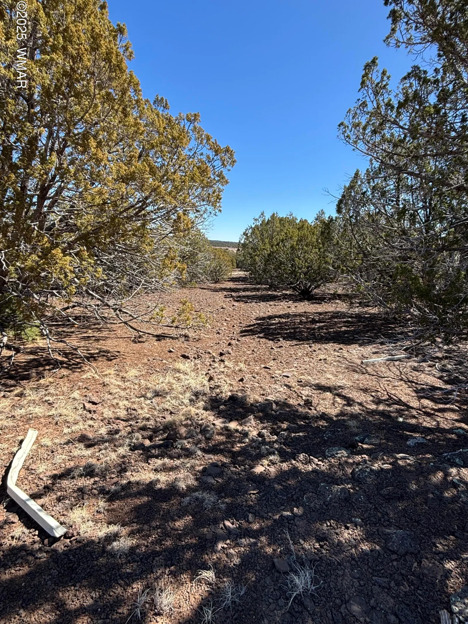 TBd 107-10-334, Concho, AZ 85924 — Photo 1 of 4