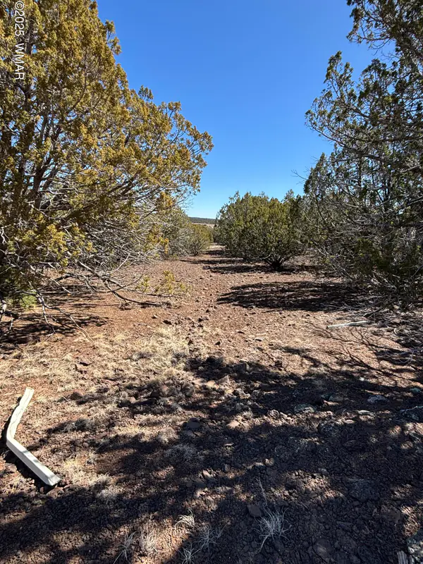 TBd 107-10-334, Concho, AZ 85924