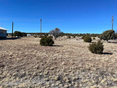 63 Alpine Lane, Concho, AZ 85924