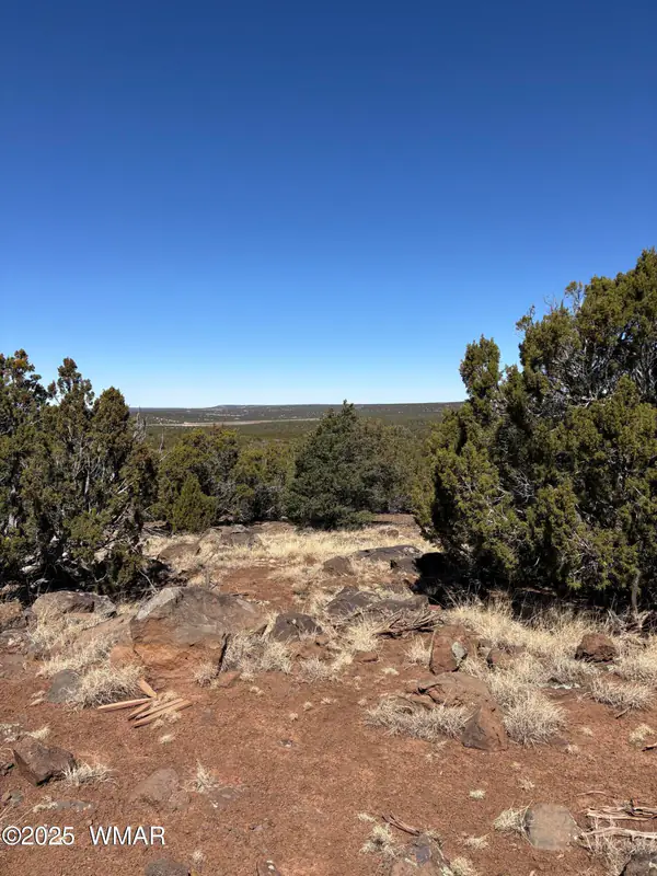 30 County Road, # 8231, Concho, AZ 85924