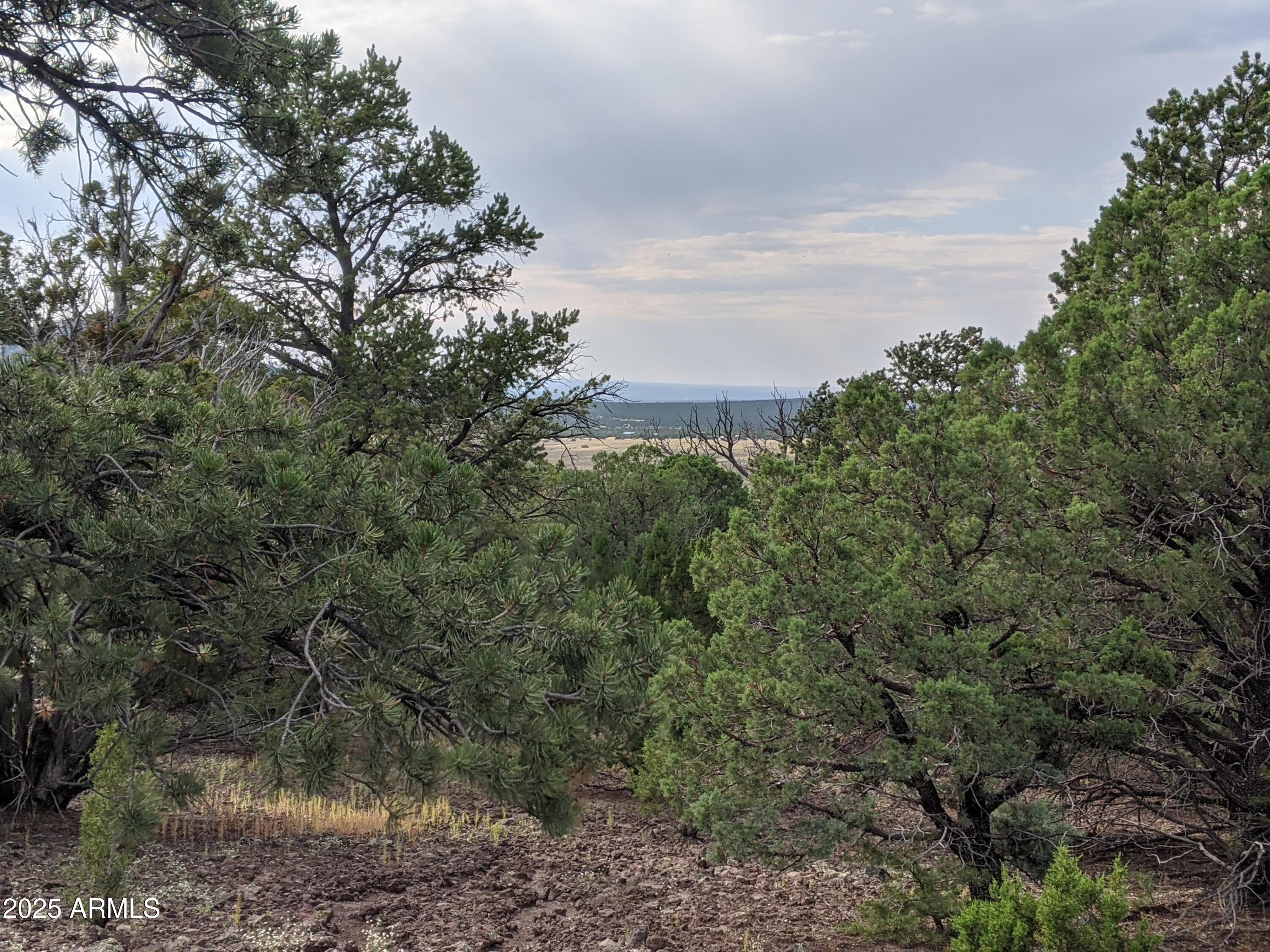 lot 76 Dolly Drive 76, Vernon, AZ 85940 — Photo 1 of 18
