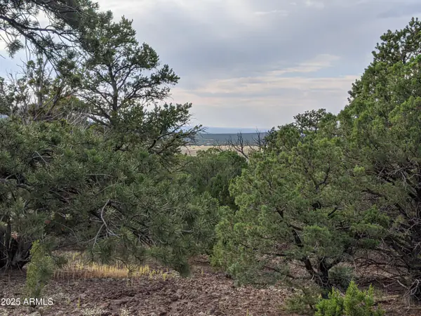 lot 76 Dolly Drive 76, Vernon, AZ 85940