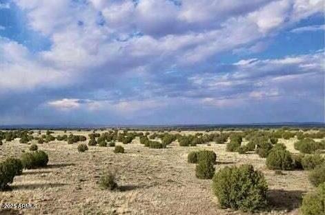 tbd 211-46-010F -, Adamana, AZ 85634 — Photo 1 of 2