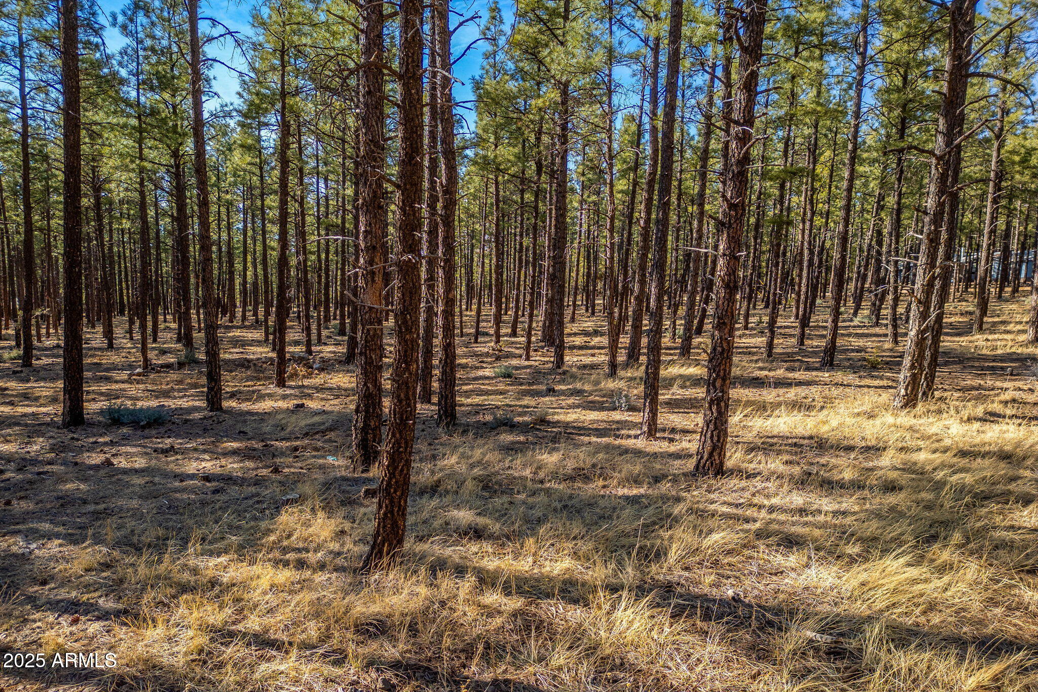 TBD Wilderness Drive 036J, Pinetop-Lakeside, AZ 85929 — Photo 1 of 16