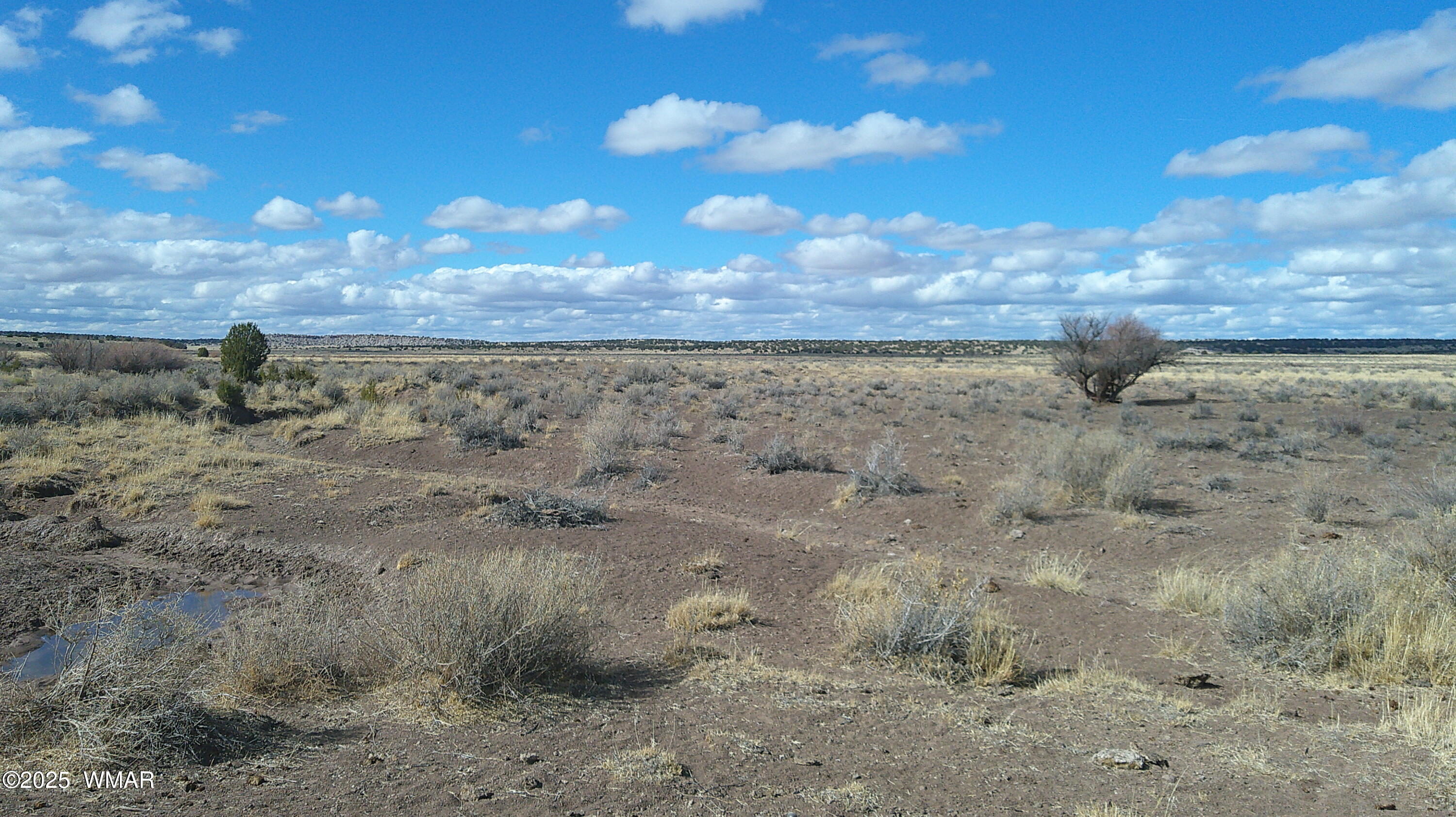 TBD Woodland Valley Ranch, St. Johns, AZ 85936