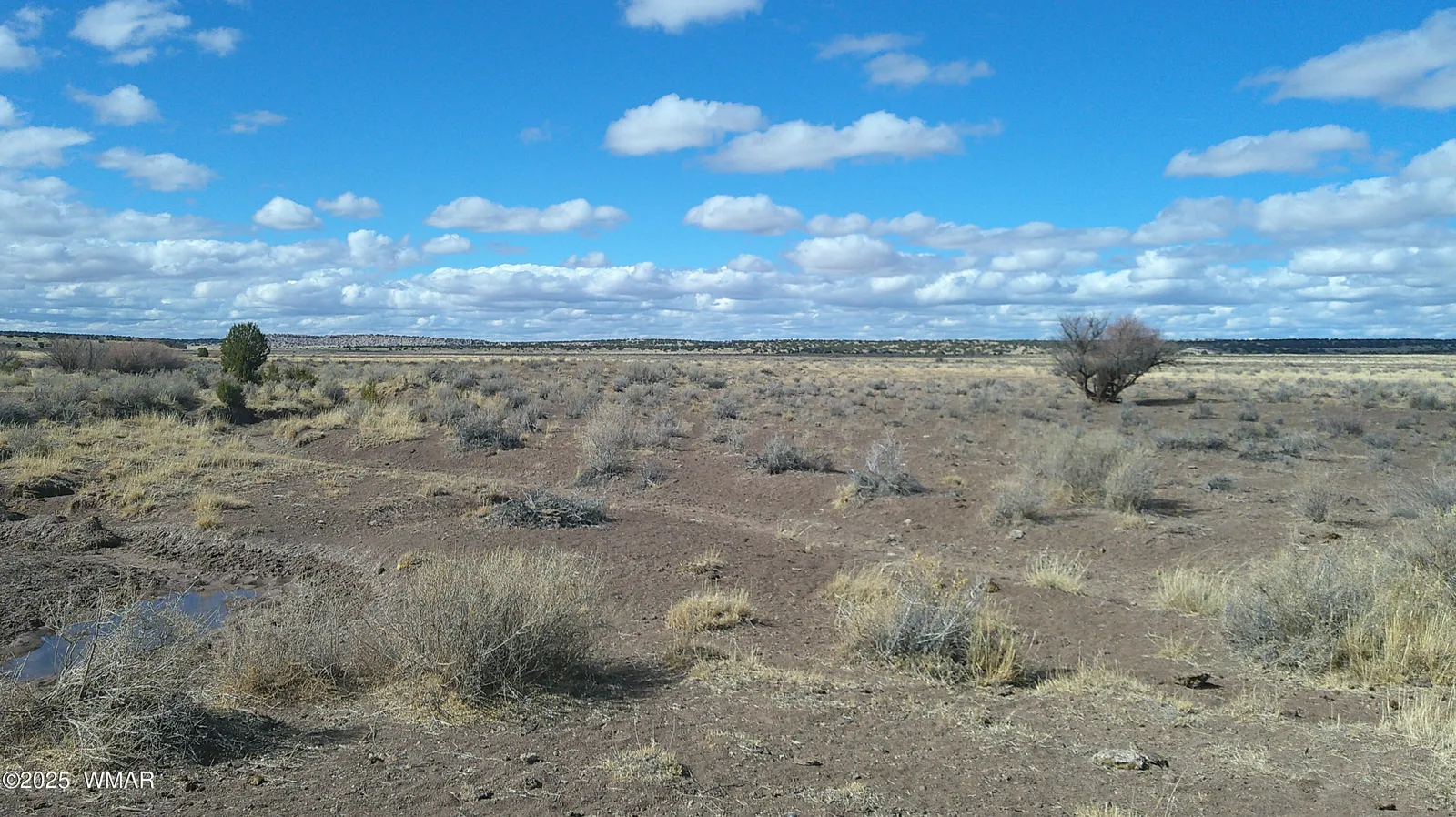 TBD Woodland Valley Ranch, St. Johns, AZ 85936 — Photo 1 of 8