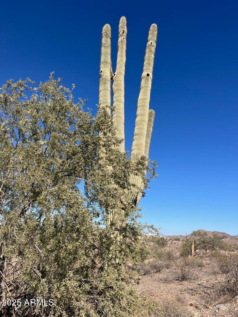 26113 N 113th Avenue -, Peoria, AZ 85383 — Photo 1 of 8