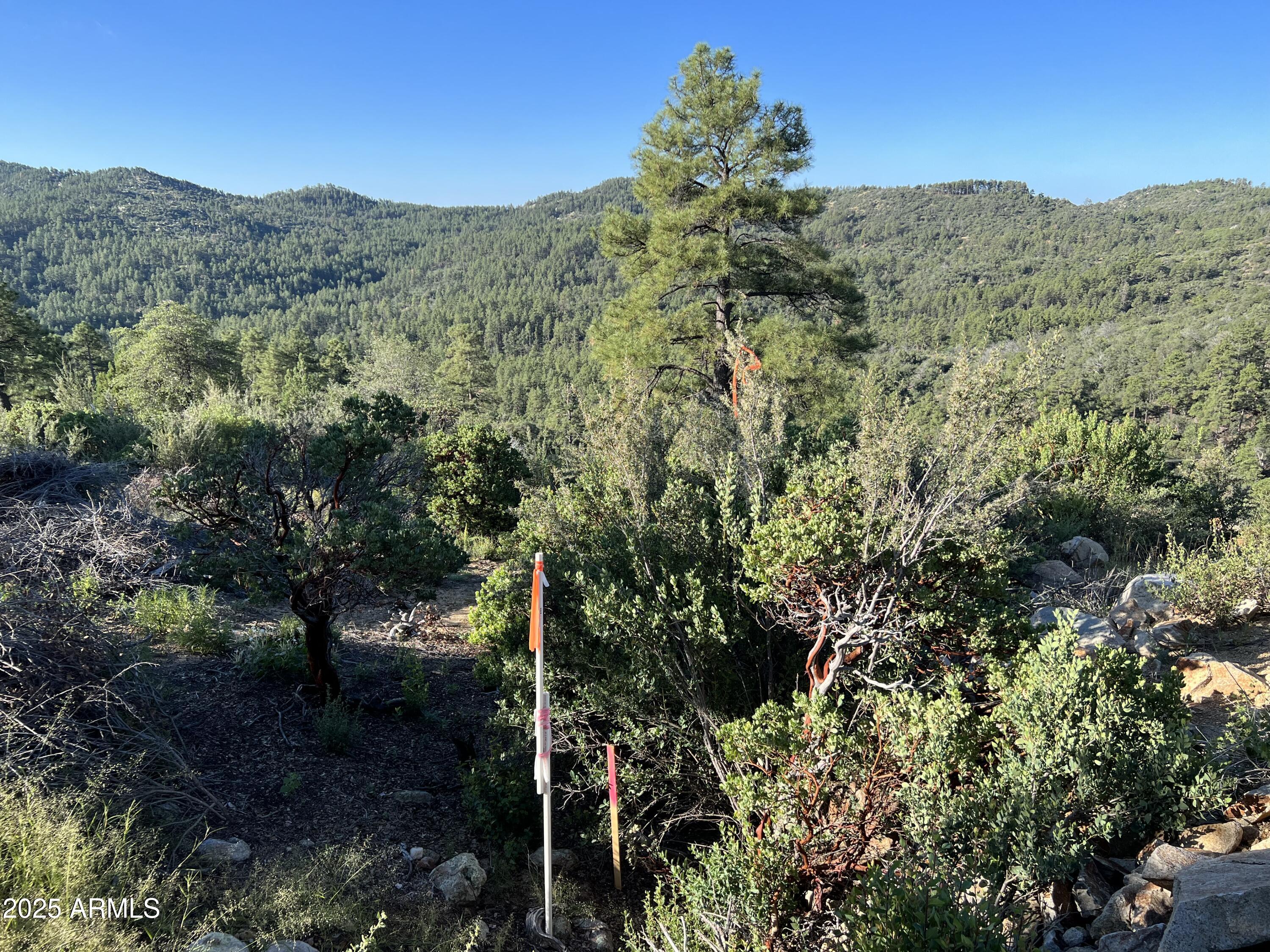 XX E Privateer Road -, Crown King, AZ 86343 — Photo 1 of 15