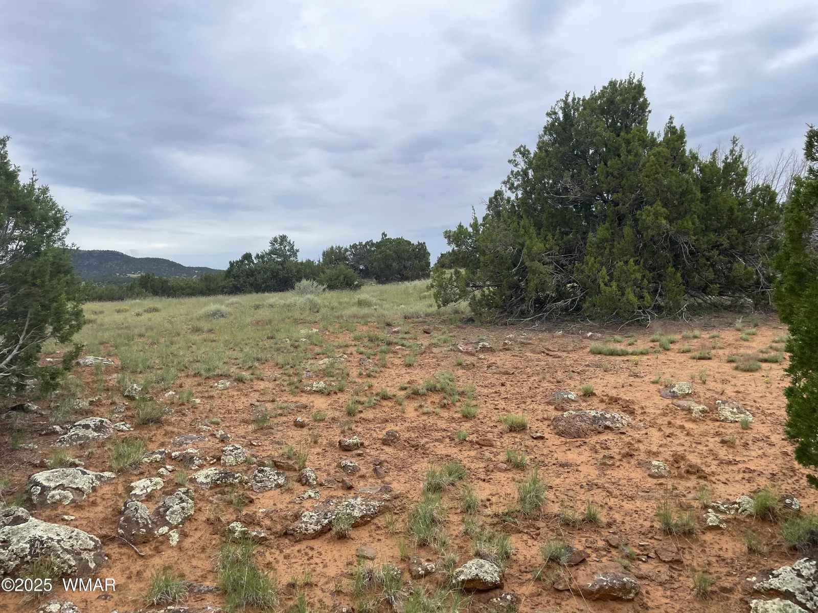 43 Charleen Drive, CR 8206, Concho, AZ 85924 — Photo 1 of 21