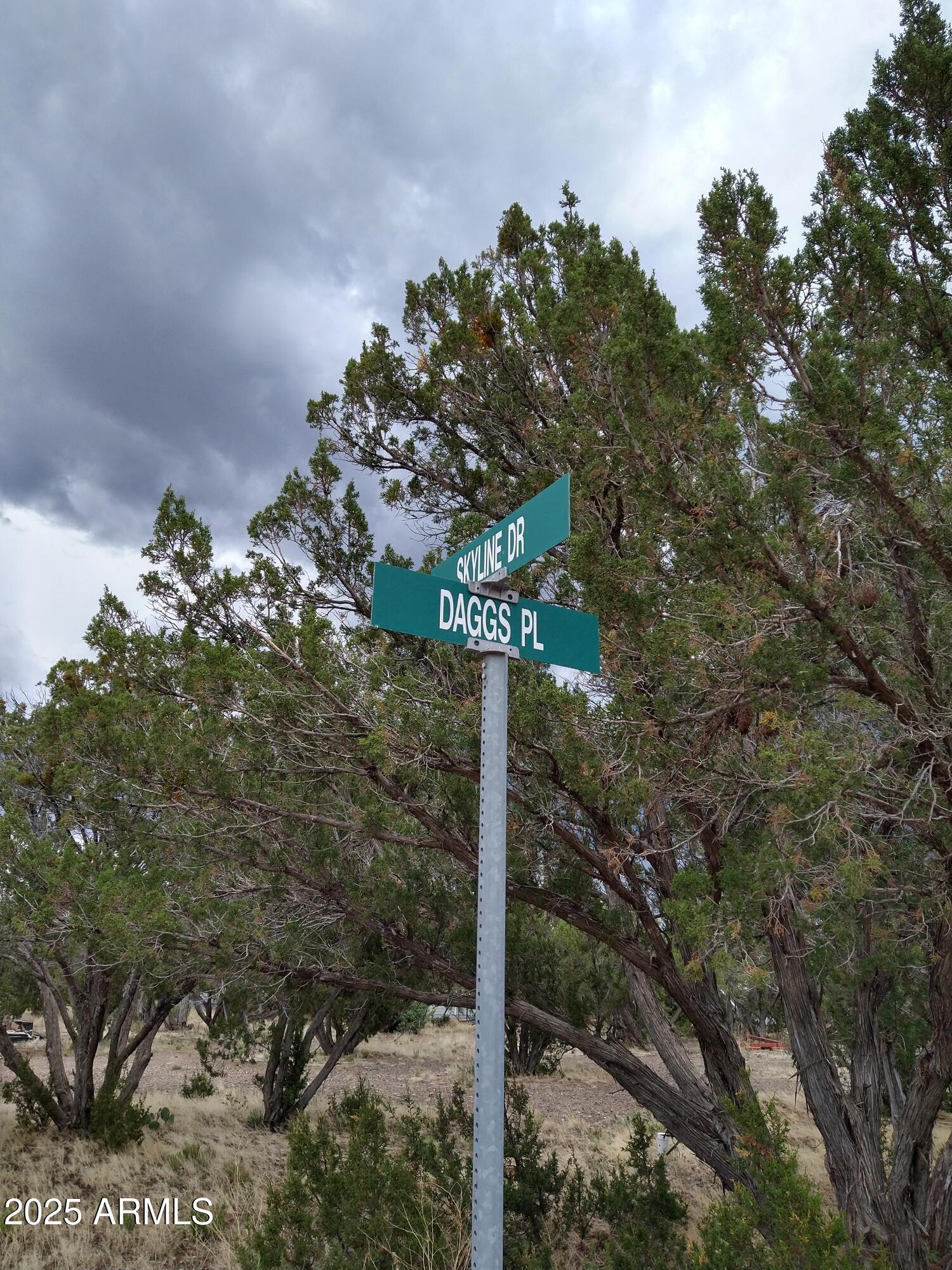 1827 DAGGS Place 29, Show Low, AZ 85901 — Photo 1 of 22