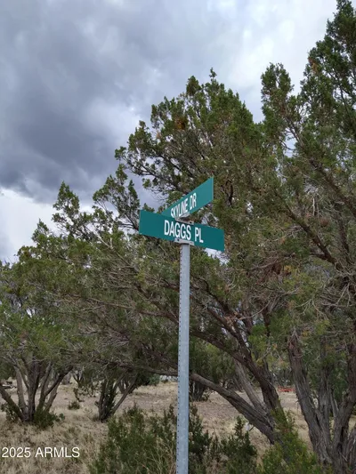 1827 DAGGS Place 29, Show Low, AZ 85901