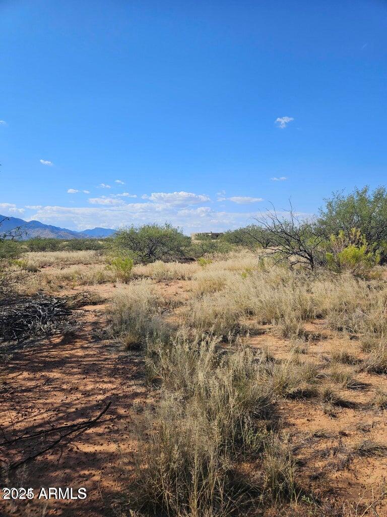 TBD 8 Ac's Off Desert Sumac A, Hereford, AZ 85615 — Photo 1 of 8