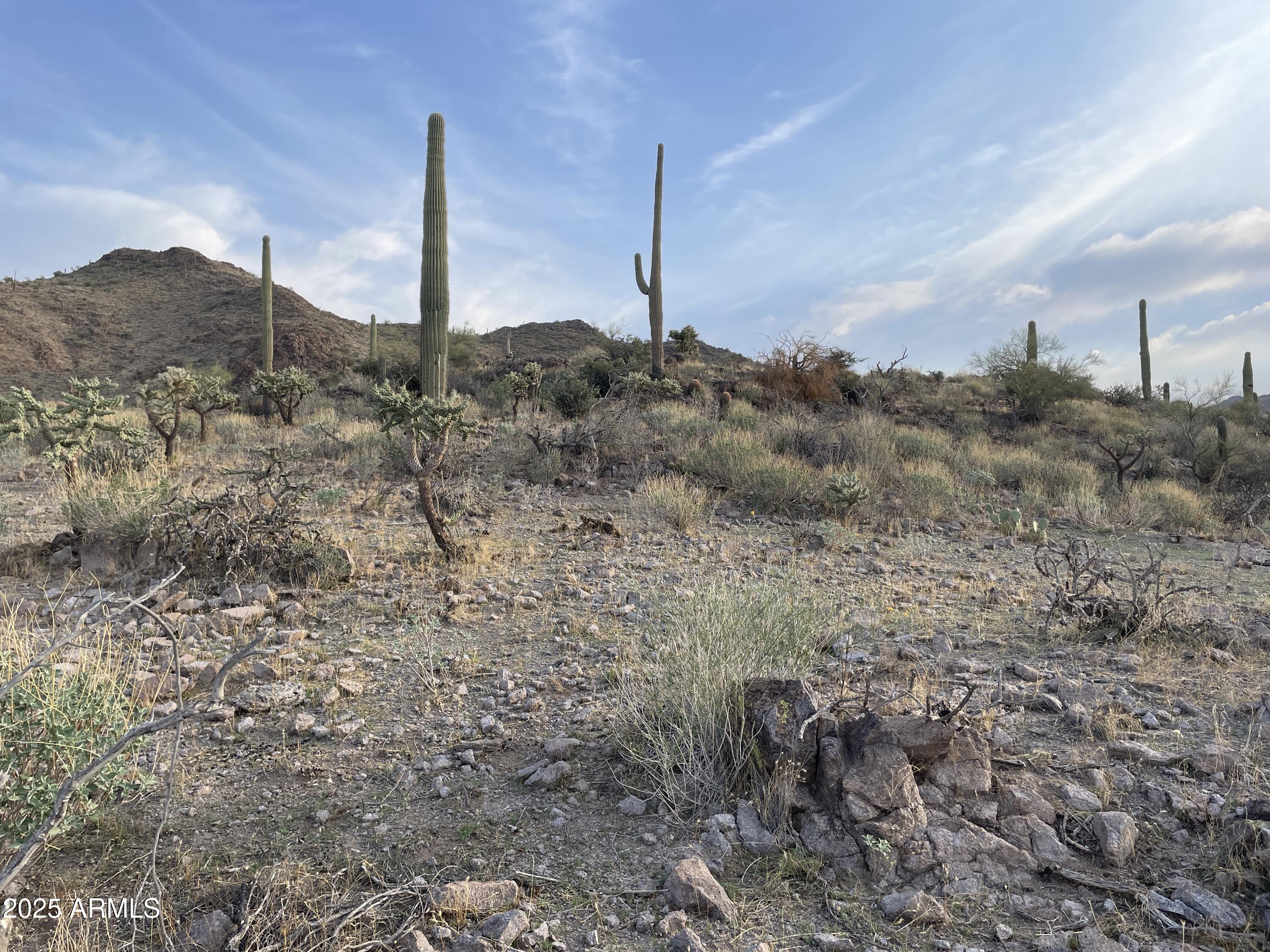 009 N Elephant Butte Road H, Queen Valley, AZ 85118 — Photo 1 of 10