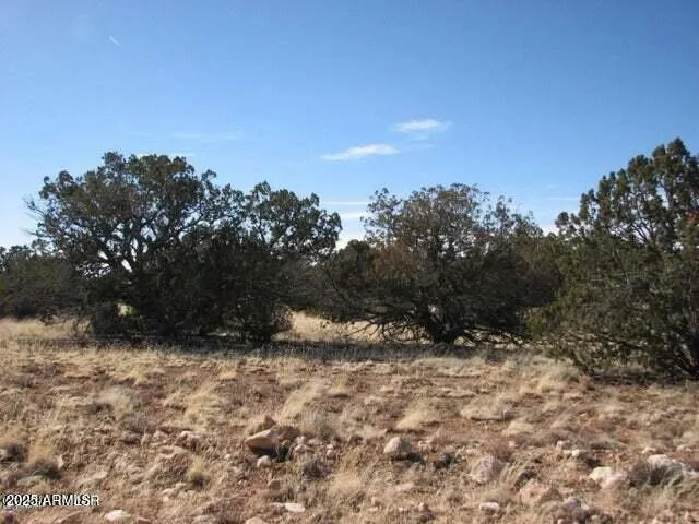6251 Dry Pasture Run Lot 216 216, Heber, AZ 85928 — Photo 1 of 12