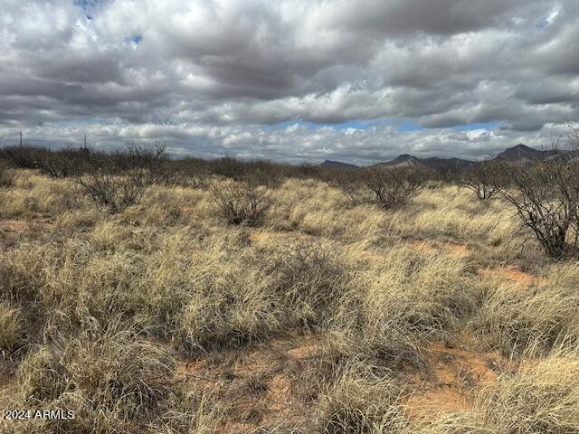 TBD S Logans Run 18, Hereford, AZ 85615 — Photo 1 of 7