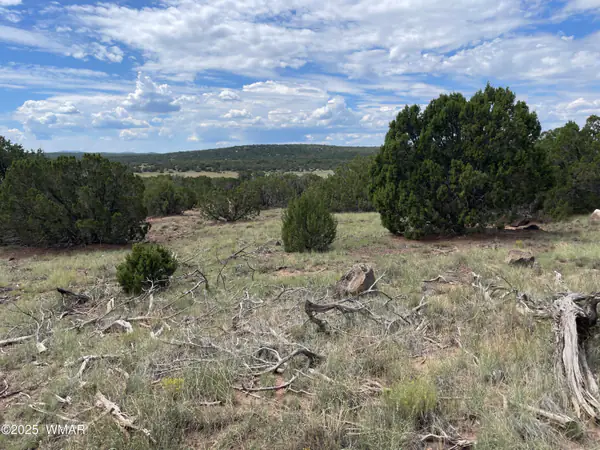 35 Burns Road, Concho, AZ 85924