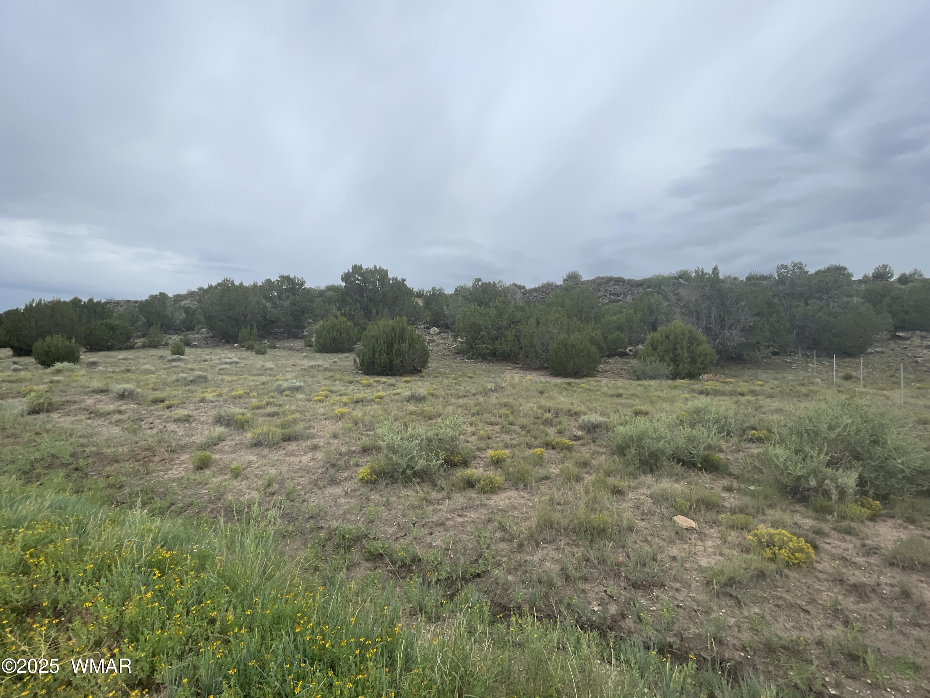 83 Charleen Drive, Concho, AZ 85924