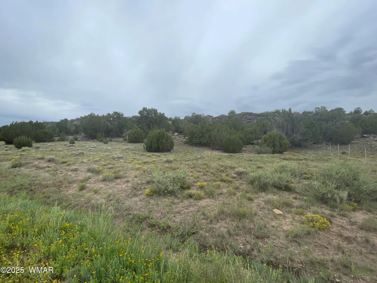83 Charleen Drive, Concho, AZ 85924 — Photo 1 of 16