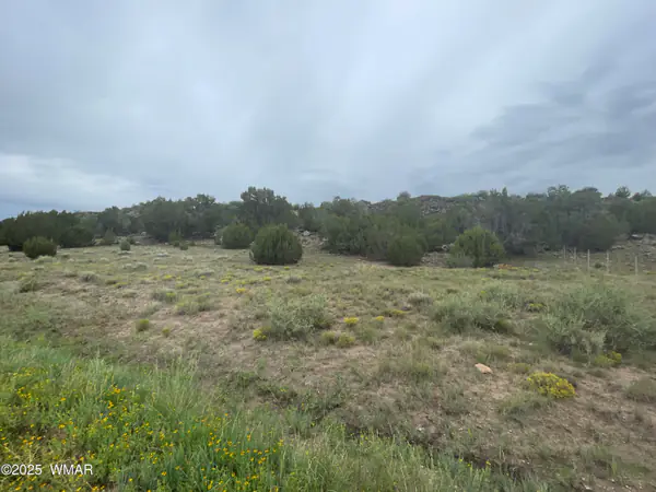83 Charleen Drive, Concho, AZ 85924