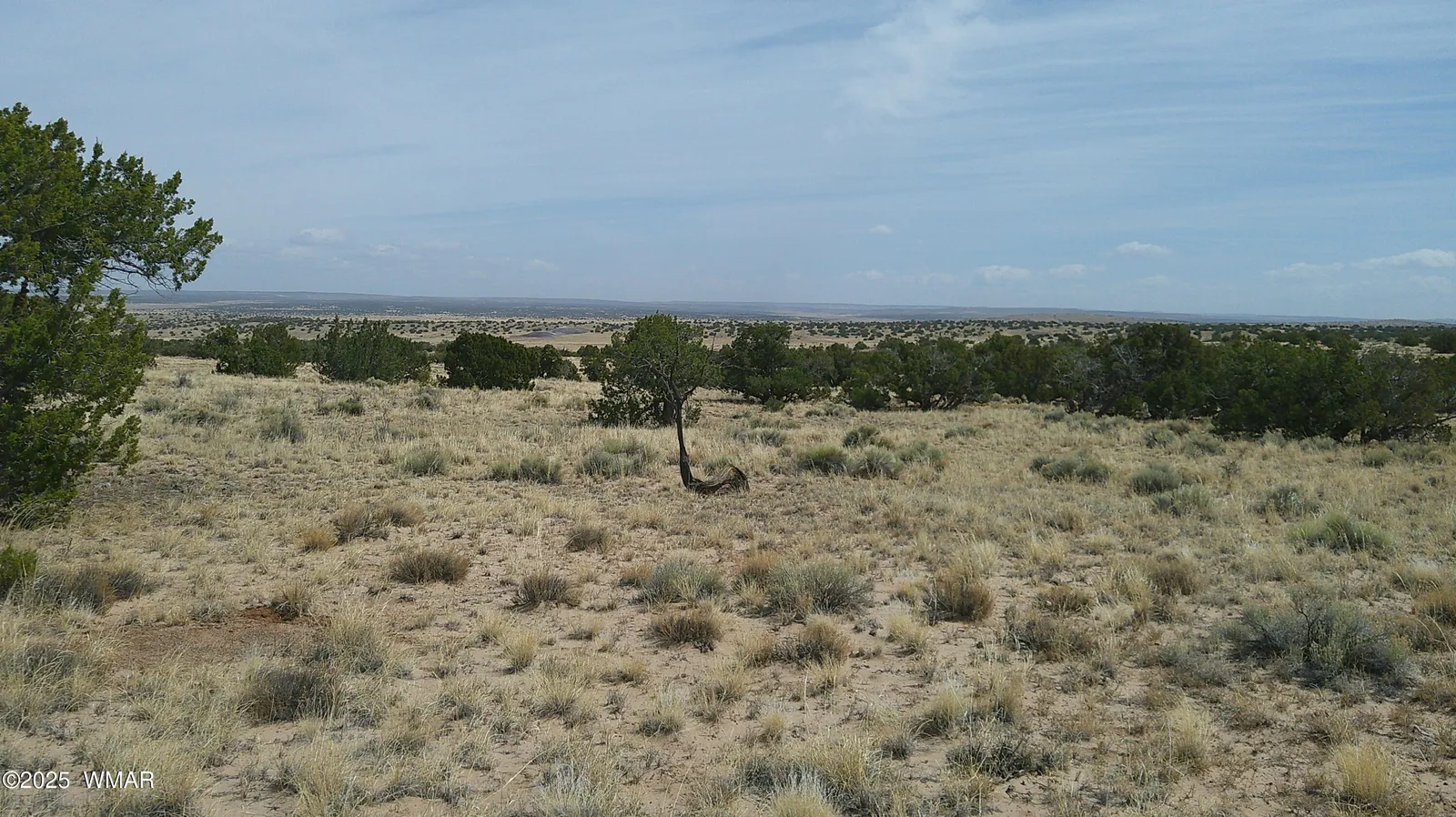 TBD St. John's, St. Johns, AZ 85936 — Photo 1 of 20