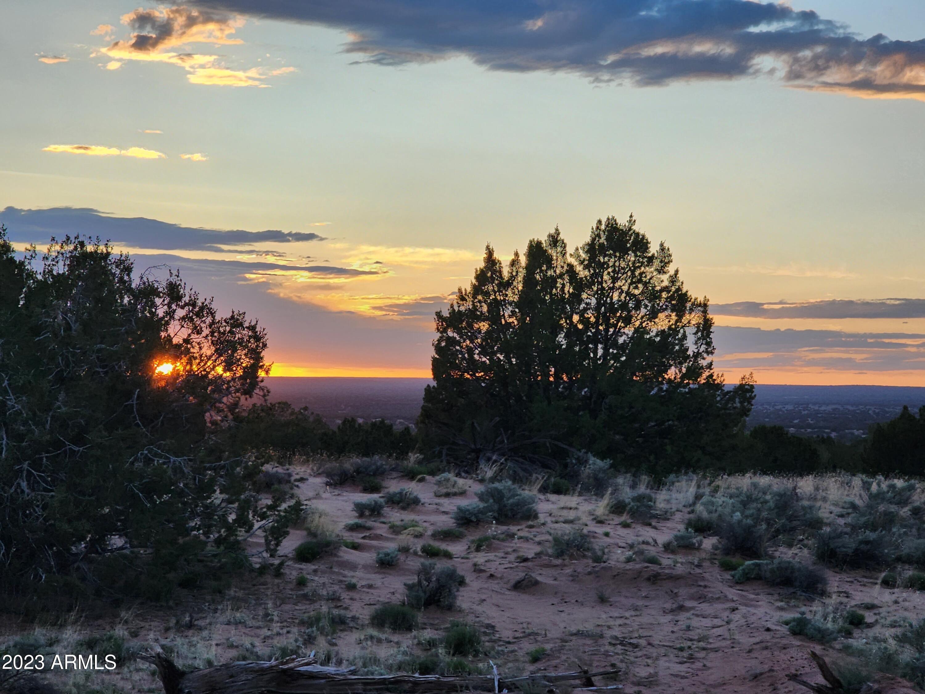 000 N TBD Drive 180-B, St Johns, AZ 85936 — Photo 1 of 8
