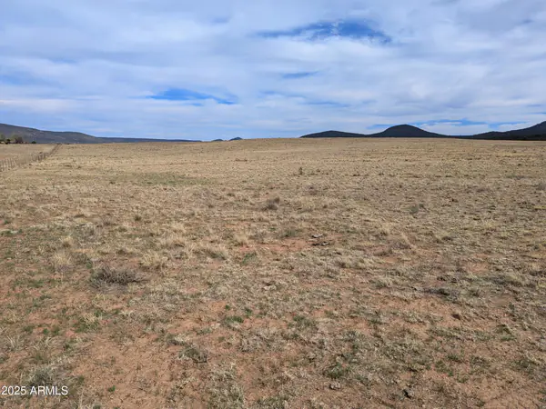 349 S ZACHARIAE RANCH Road 1, Young, AZ 85554