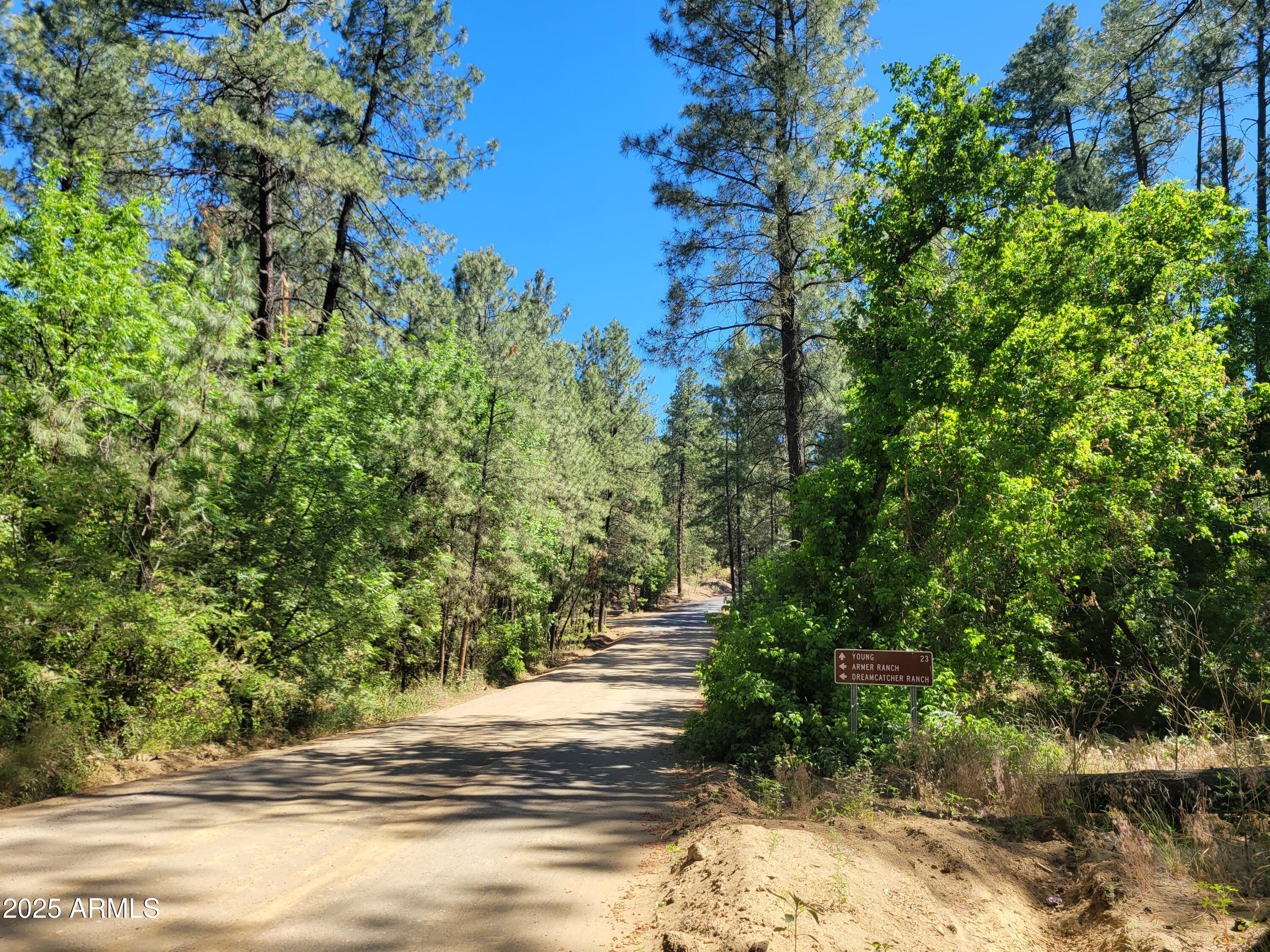 8 N Rose Crk Ranch 08, Young, AZ 85554 — Photo 1 of 56