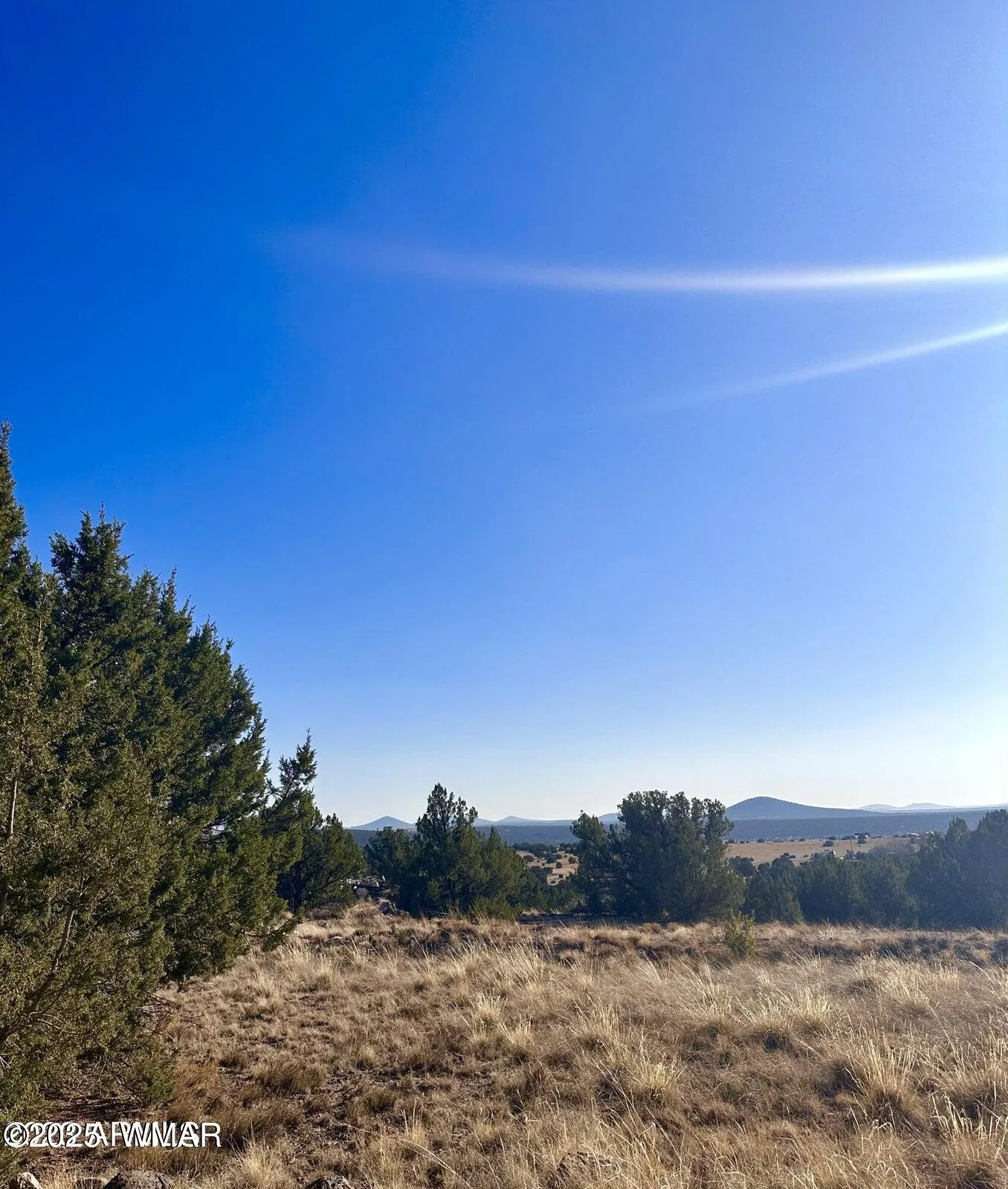 14 County Road 8249, Concho, AZ 85924 — Photo 1 of 6
