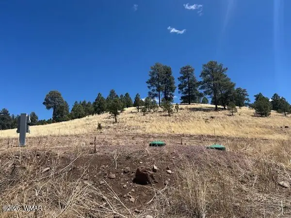 6 County Road 2331, Lot 18 The Ranch, Alpine, AZ 85920