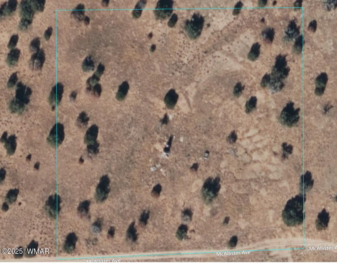 1822 Mcallister Avenue, Heber, AZ 85928