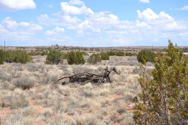 Lot 020G E 24th N Street, Snowflake, AZ 85937