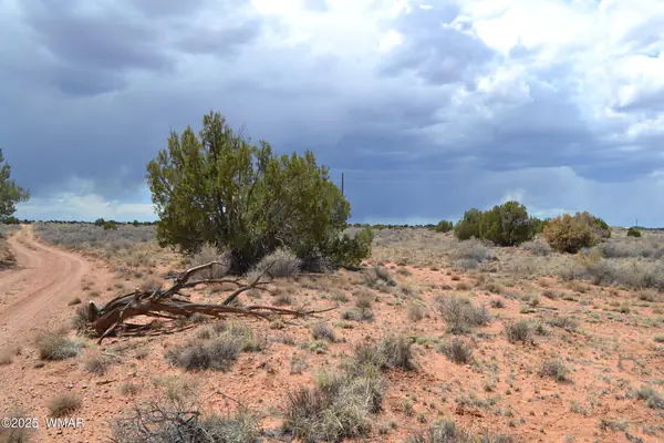 Lot 020B E 24th N Street, Snowflake, AZ 85937