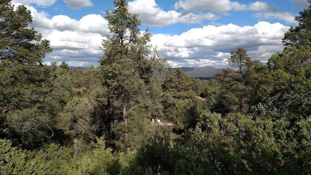 2311 E Feather Plume Lane, Payson, AZ 85541 — Photo 1 of 1
